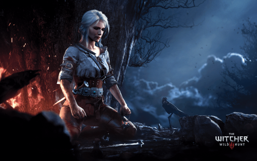 wp3145961-the-witcher-3-wild-hunt-wallpapers.png